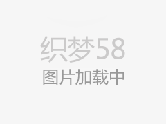 MicroRecord电流事项